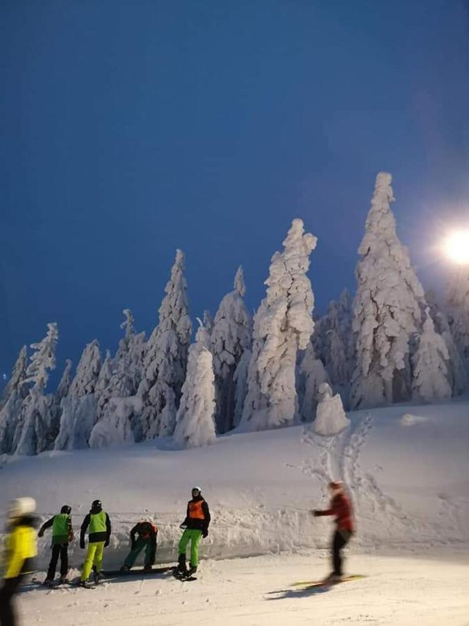 Gosciniec Ella Inn Lipniki Lipniki  エクステリア 写真
